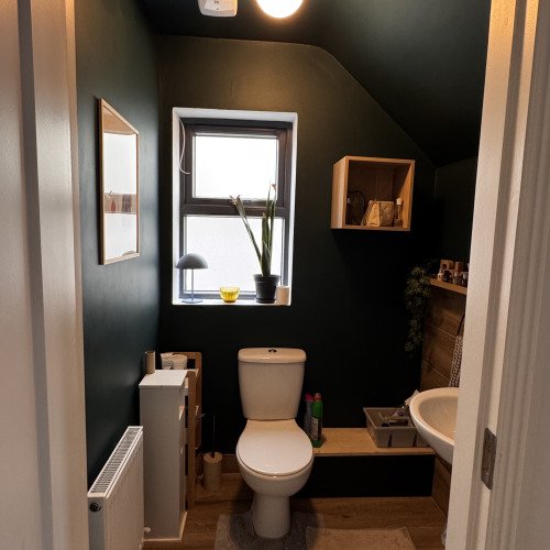 Downstairs Toilet Project