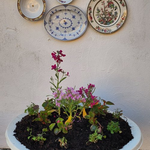 Outdoor decoration