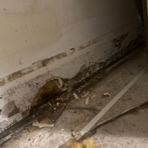 And old and full of mold wall repair